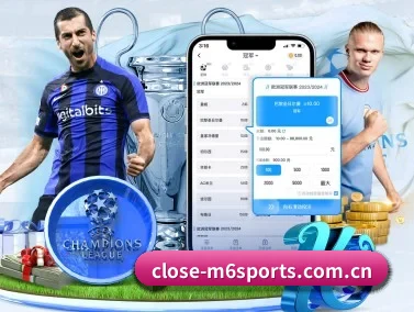 m6体育app APP 界面